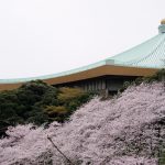 街歩きフォト「東京の桜」